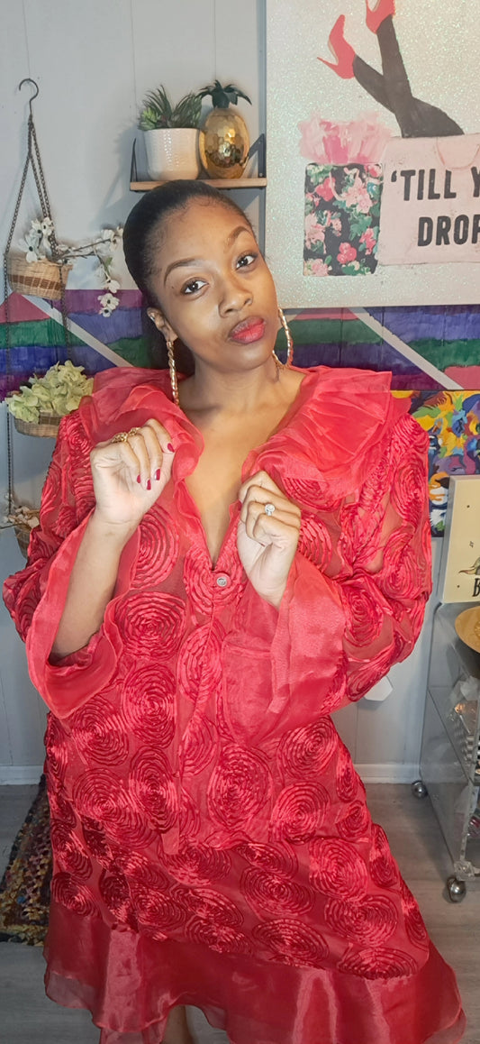 Vtg Red Semisheer Embroidered Duster & Skirt Set SZ 4X (BEST Fits 2X/3X) Ptp 28in Waist 19-28in