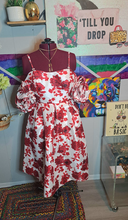 Nwt NY & Company Red/Wht Floral Print Dress with Rose Pattern Sleeves, Removable Straps and Side Pockets SZ XL